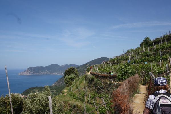 Hiking trail in Cinque Terre, Italy
