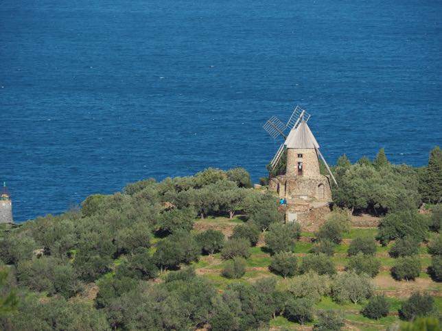 Collioure: Moulin de la Cortina