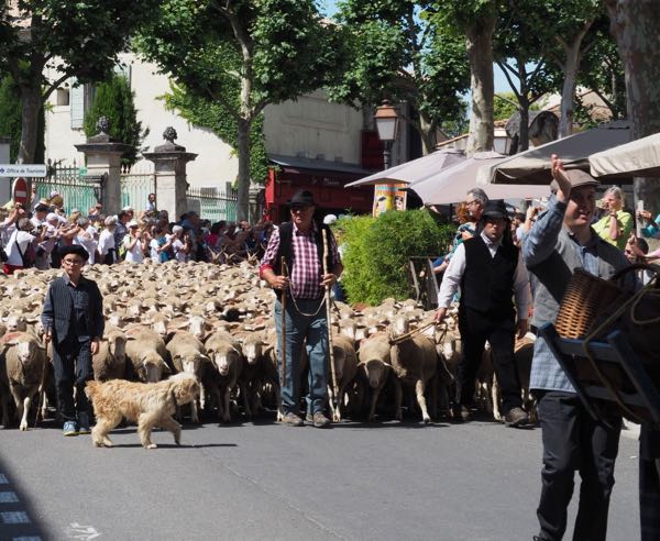 Fête de la Transhumance in St-Remy-de-Provence