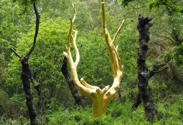 King Arthur And The Brocéliande Forest Legend: Arbre d'Or