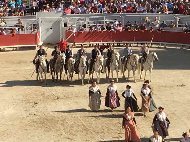 Cocarde d'Or Opening Ceremony (J. Chung)