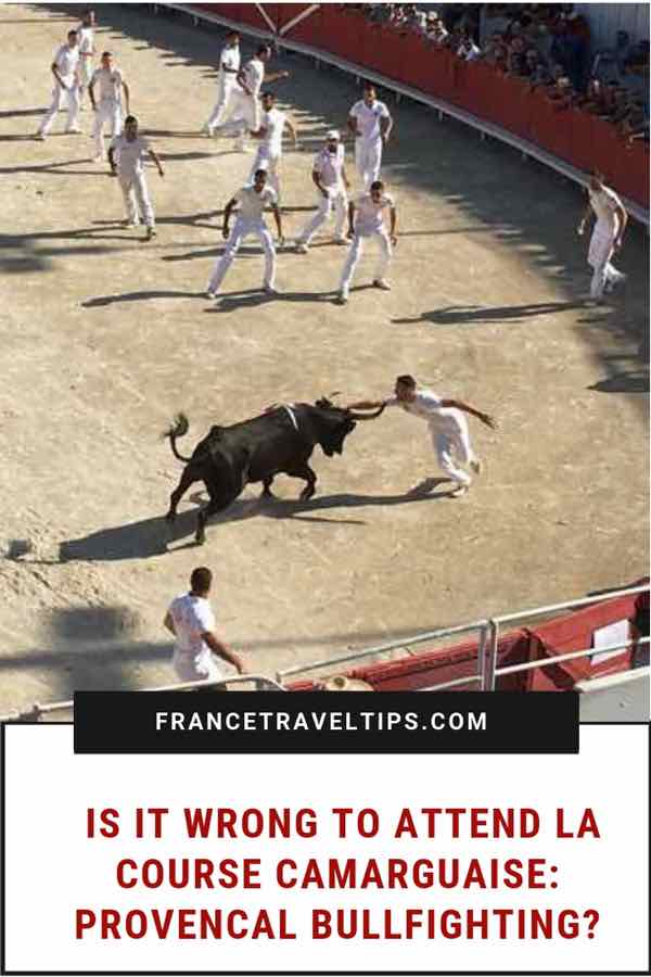 Is it wrong to attend La Course Camarguaise-Provencal Bullfighting