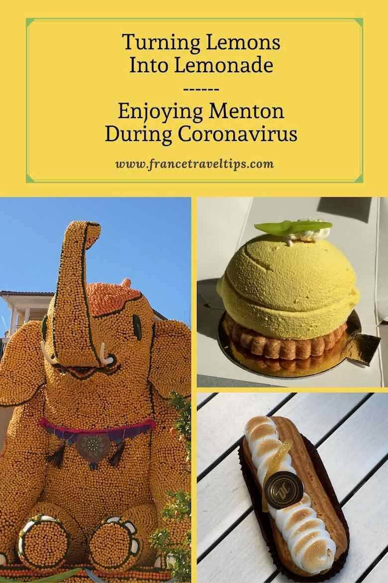 Turning Lemons Into Lemonade (Pinterest)