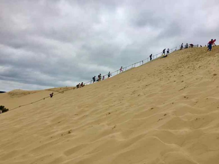 Day’s Outing: Bicycle From Arcachon To Dune du Pilat