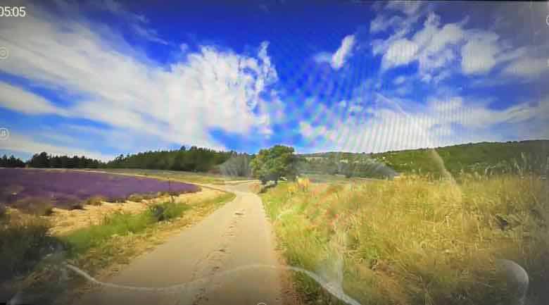 Lavender in Provence during the scenic ride