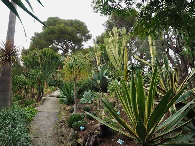 Exotic garden-Villa Ephrussi de Rothschild