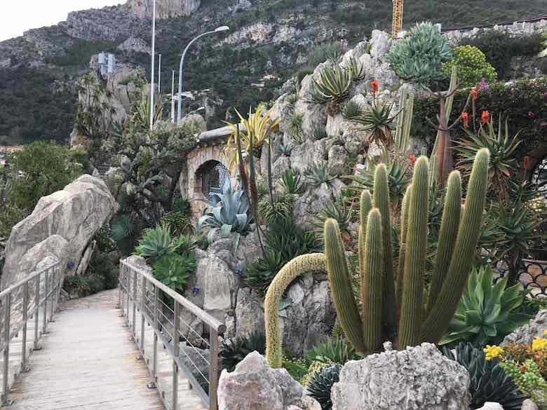 Exotic Garden of Monaco