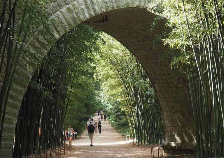La Bambouseraie en Cévennes-A Beautiful Bamboo Grove