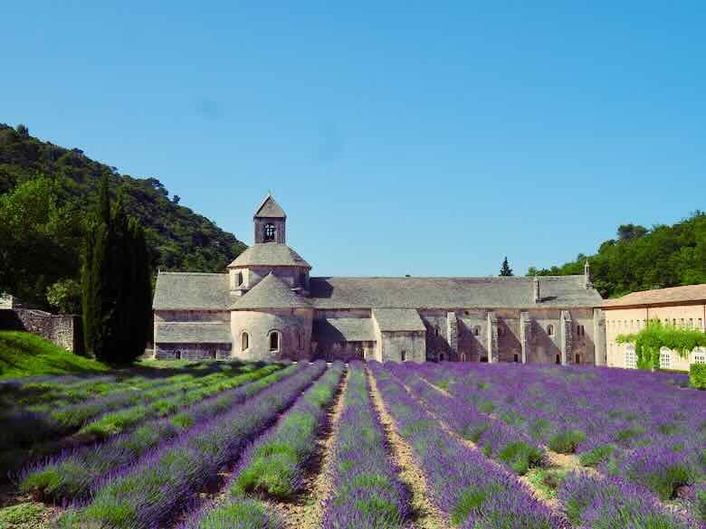Lavender at Abbey de Senanque