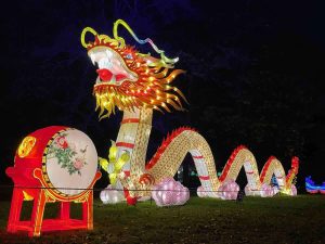 Illuminated dragon at L'Odyssee Lumineuse at Parc Floral in Paris