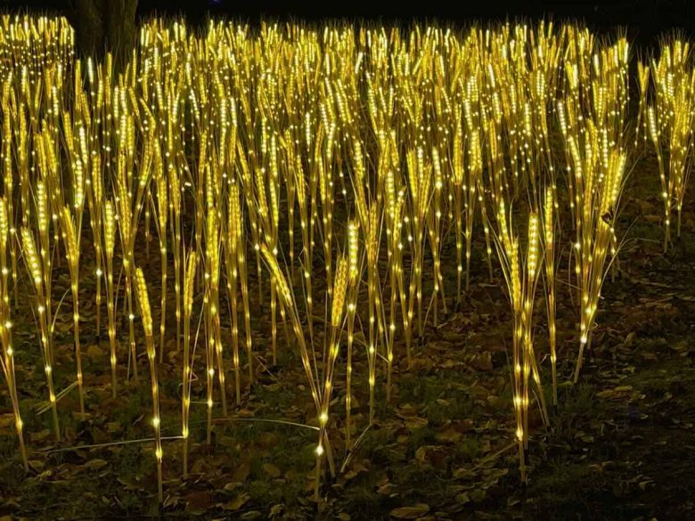 Illuminated bamboo fields at Parc Floral