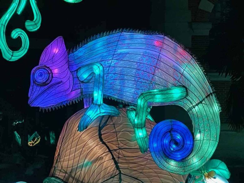 Illumination at Jardin des Plantes