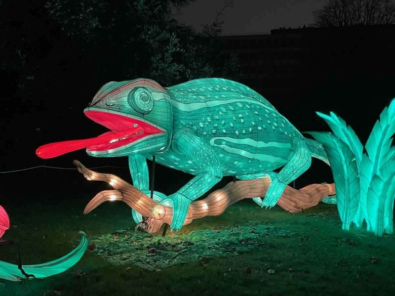 Reptile at Jungle en Voie d'Illumination