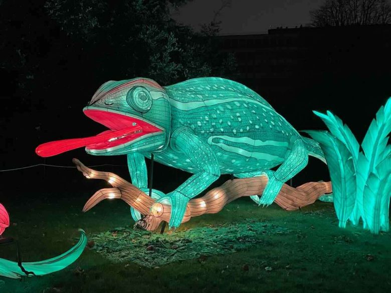 Reptile at Jungle en Voie d'Illumination