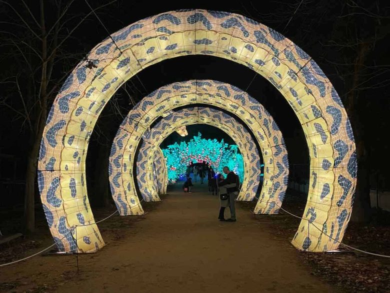 Snake tunnel at Jungle en Voie d’Illumination, Jardin des Plantes