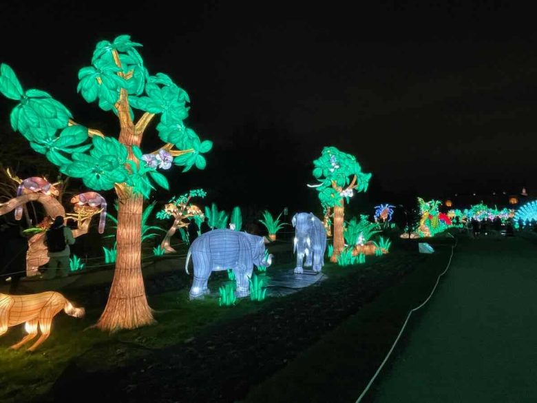 Walking through Jungle en Voie d’Illumination