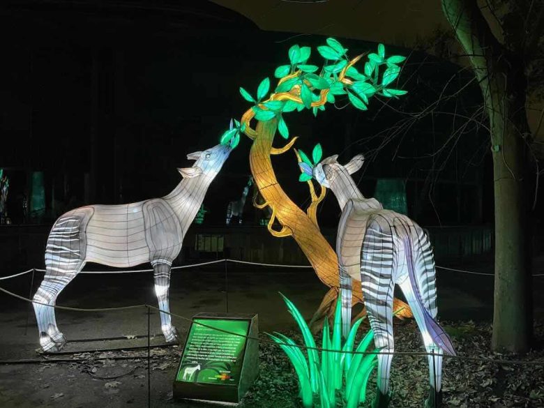 Festival of lights-Jardins des Plantes Paris