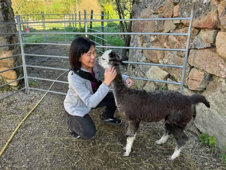 Jan with baby Bodie the alpaca