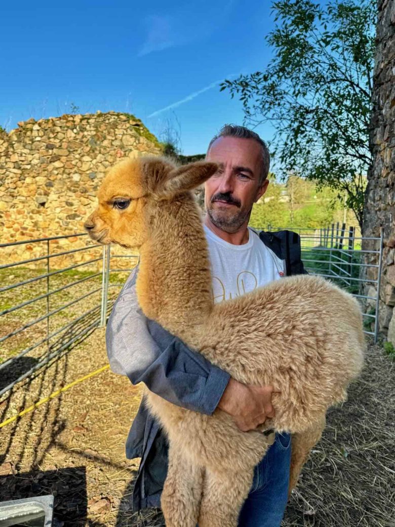Paul with a baby alpaca